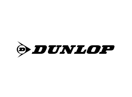 sospensione pneumatica dunlop